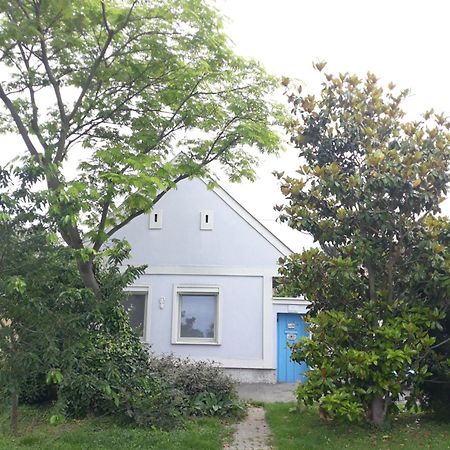 Alla Kittsee Buitenkant foto